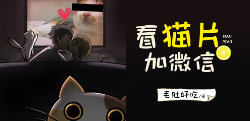 看猫片加微信